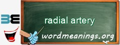 WordMeaning blackboard for radial artery